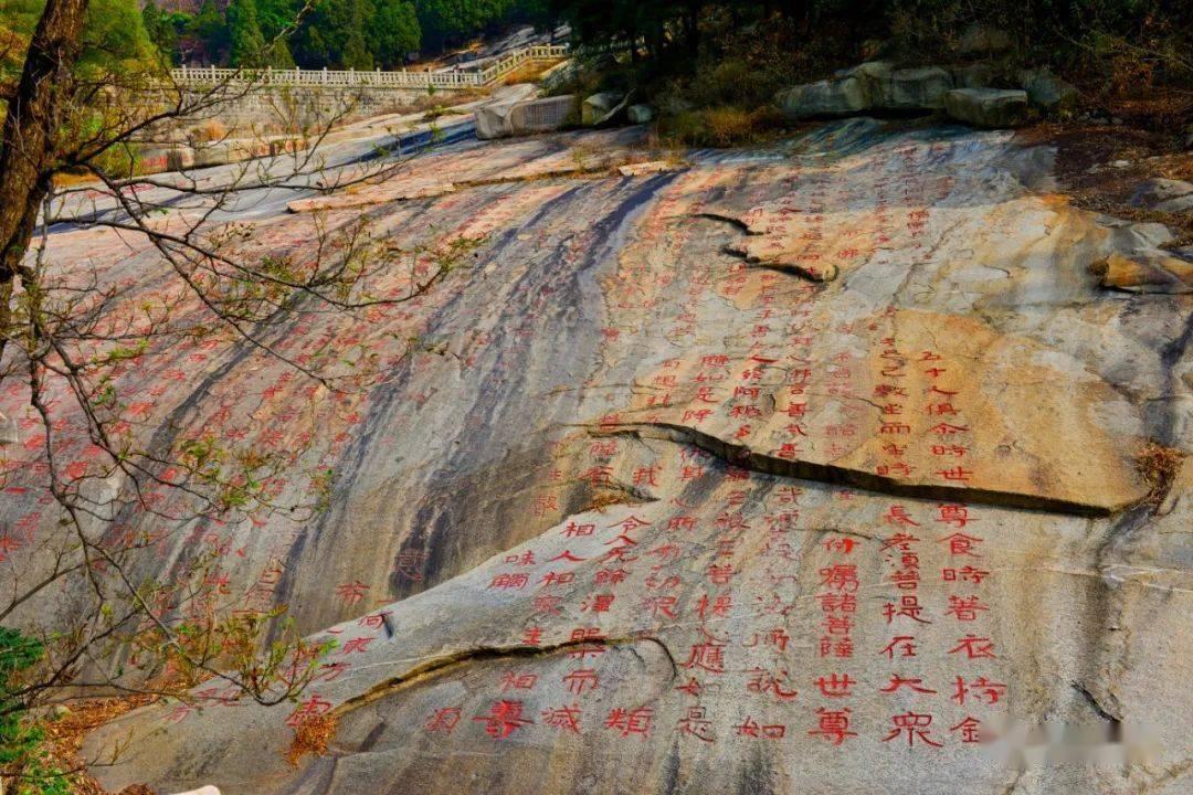 逗小猴开心系列214
